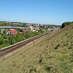 Auch Hanglagen benötigen Pflege