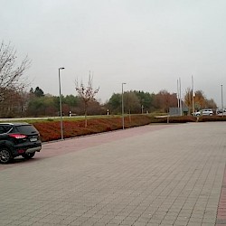 Grauflächenpflege