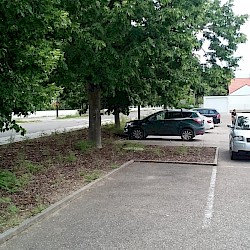 Parkplatzpflege