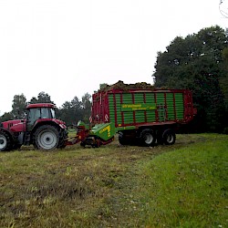 Pflegearbeiten bei Ausgleichsflächen