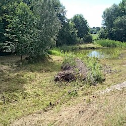 Ökoflächenmanagement im Landkreis Pfaffenhofen
