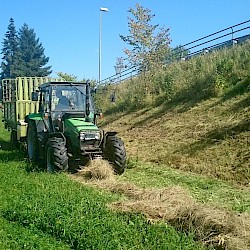 Abtransport mit Ladewagen